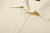 Deluxeware OCTS-00 12.5oz Loopwheeled Polo Shirt Made in Japan Shell Buttons