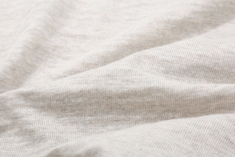 Warehouse Lot 4601 short sleeve shadow border slub yarn crew neck T-shirt made in Japan oatmeal front view fabric close up