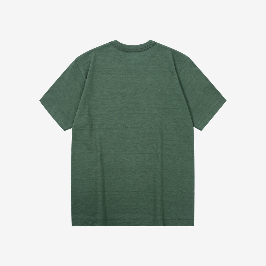 Warehouse Lot 4601 short sleeve shadow border slub yarn crew neck T-shirt made in Japan green back view